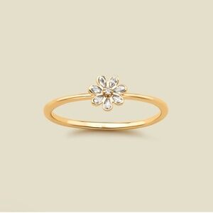 Ring and Earring set